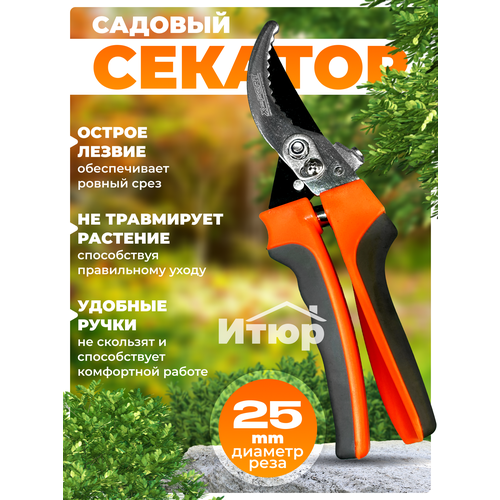 ������ ������ ������� ��� ���� � ������� ����