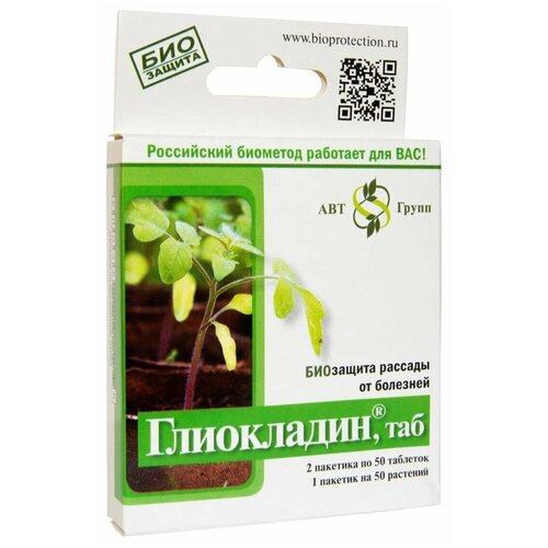 ������ ������ ��� ��������� ����