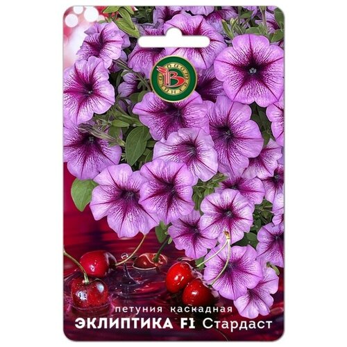 ������ ������ ������ ������� ��������� 