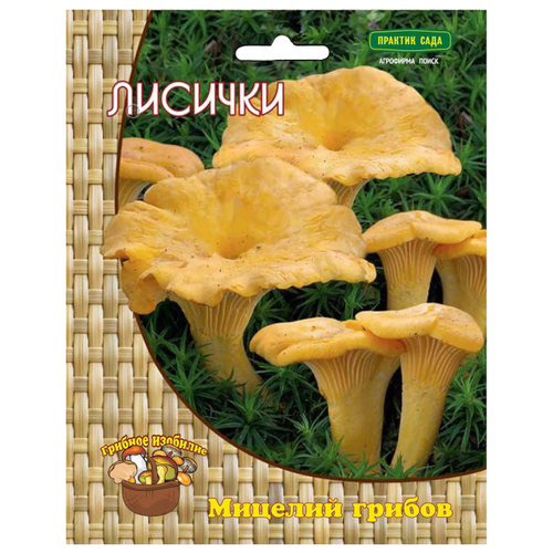 ������ ������ ����� ������� 60 �� ����