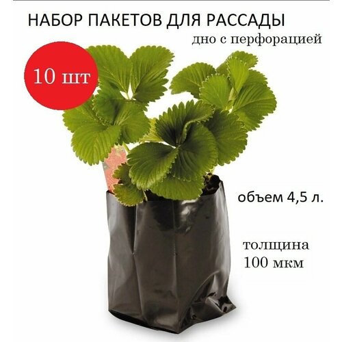 ������ ������ ����� ��� ������� 4,5�, ������� 100���, ������, 10��. ����