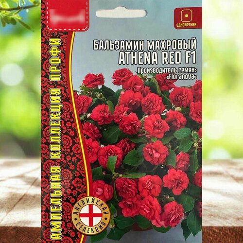 ������ ������ ������ ������ ��� ���� � ���� ��������� �������� ��������� 1 ��. ����