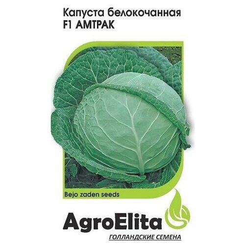 ������ ������ ������. ������� ������������ 