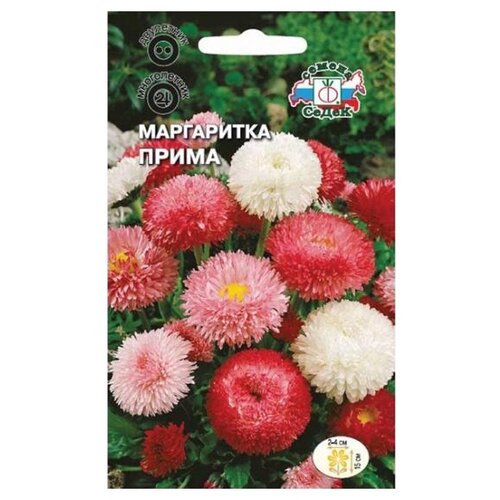 ������ ������ ������ ����� ���������� ����� ����