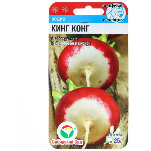 ������ ������ ������ ����� ����-����, 2 � ����