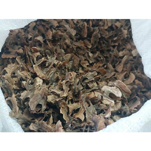 ������ ������ ����������� �������� �����, 500�� ����