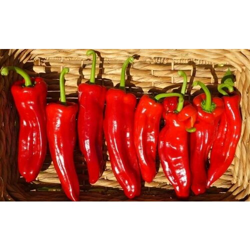 ������ ������ ������������� ������ ����� �������� ������ ����