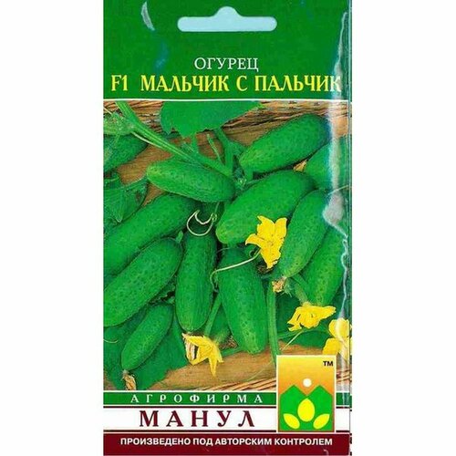 ������ ������ ������ ������ ������� � ������� F1 (������������������) (�����) 10�� ����