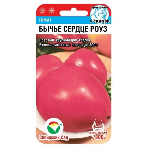 ������ ������ ������ ����� ����� ������ ���� 20�� ��� (��������� ���) ����