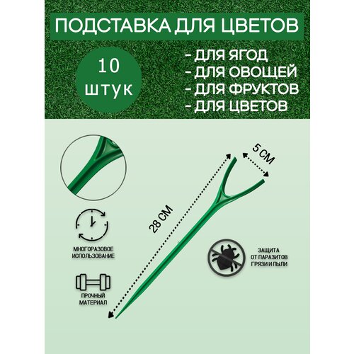 ������ ������ ����� ��� ��������, ��������� ��� ���� � ������, �������, 10�� ����