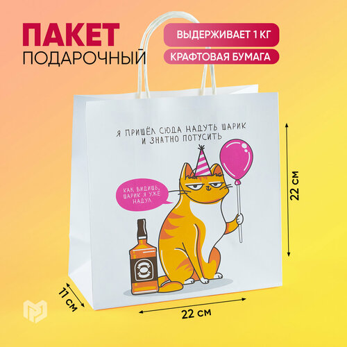 ������ ������ ����� ���������� �����, 22 ? 22 ? 11 �� ����