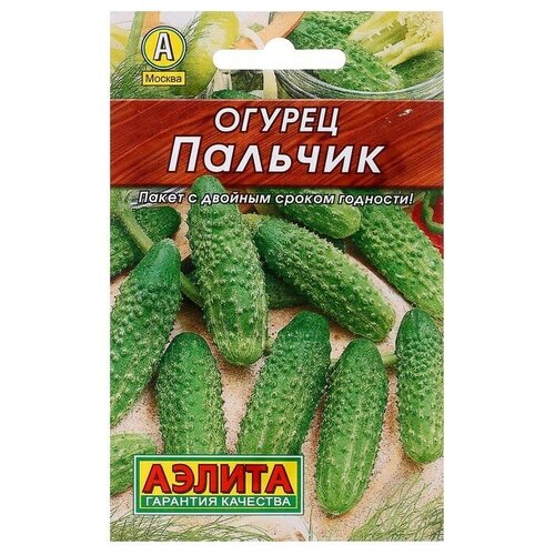 ������ ������ ��������� ������ ������ ������ �������, �����������, ��������������, 20 �� ����