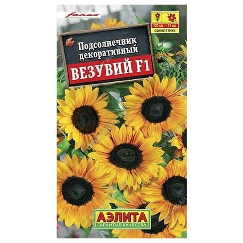 ������ ������ ������. ������������ ������������ 