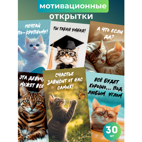 ������ ������ ���� �������� ������������� �������� � ����������� 30 �� ����