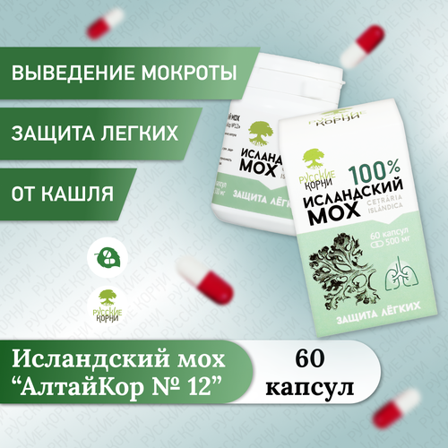 ������ ������ ���������� ��� �� ����� 60 ������ �� 500 �� ����