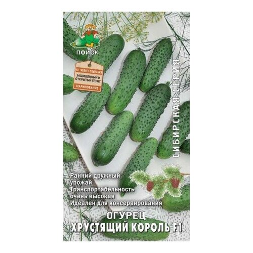 ������ ������ ������ ��������� ������ F1 12��. (�����) ����