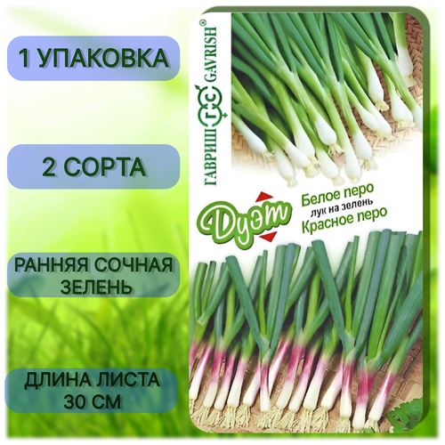 ������ ������ ������ ������ ���� ��� �� ������ ����� ����+��� �� ������ ������� ���� 1,5 � ����