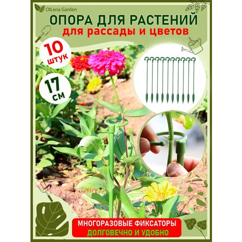 ������ ������ OlLena Garden / ����� ��� �������� � ������� � ������������, ����� ����������� �������� � �������, 17�� / 10 ��. ����
