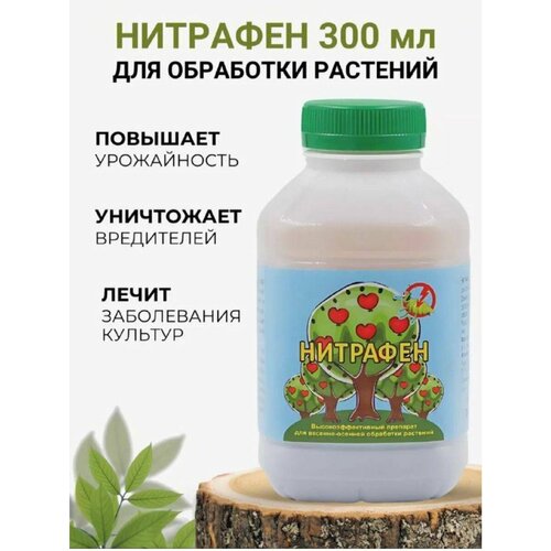 ������ ������ ���������� ����� �������� �������� ������ �������� 1 �� ����