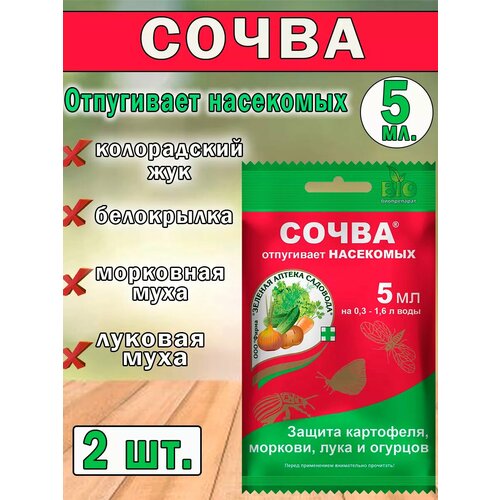 ������ ������ �������� �� ���������� ����� 5�� ����