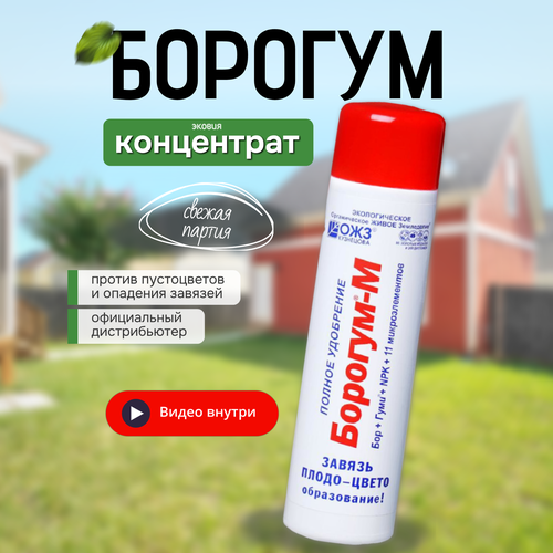 ������ ������ ������� � ��������� ��� ����������� ������ 1 �� ����