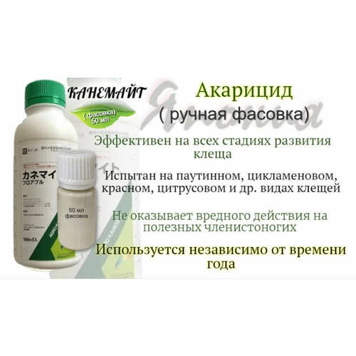 ������ ������ �������� ������ ������ �������� ���������� �� ���� ������� �������� �����, 50 �� ( �������) ����