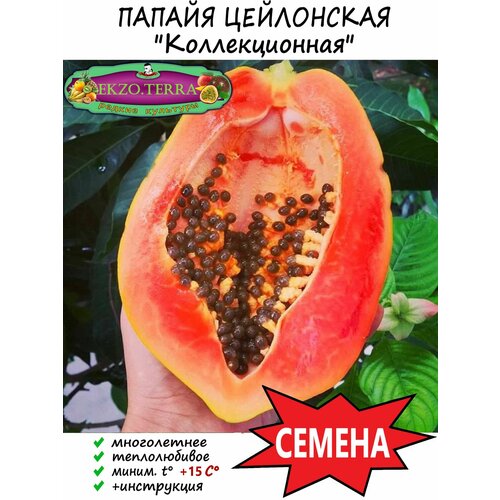 ������ ������ ������ ������ ���������� (�����) 10 ��. ����