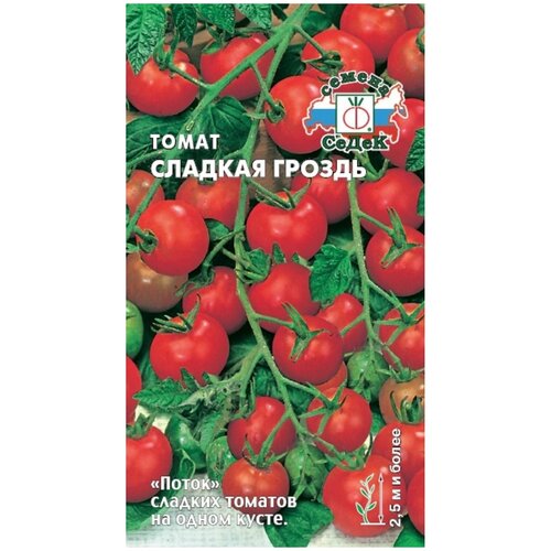 ������ ������ ������ ����� ����� ������� ������ ����