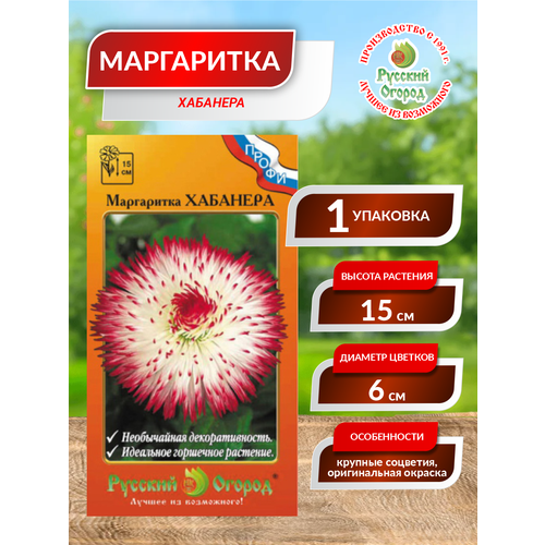 ������ ������ ������� ���������� 