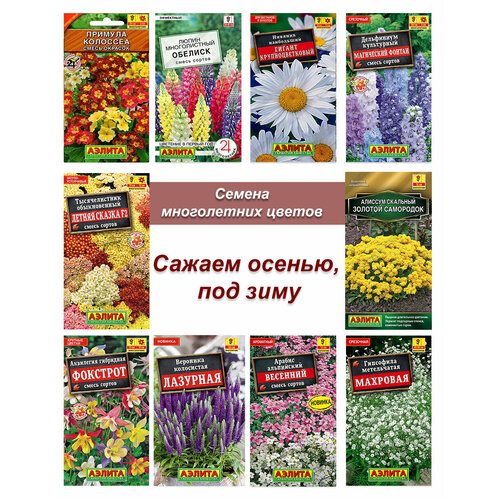 ������ ������ ������ �������������, ����� ����� ����������� ������ ����