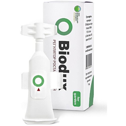 ������ ������ ������� ��������� ����� � ����������������, ����������������, 10 �� ����