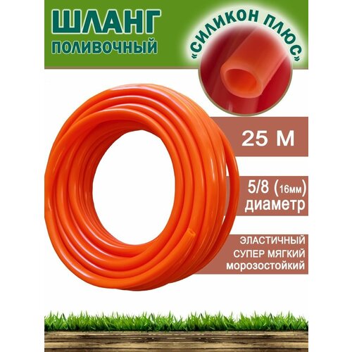 ������ ������ ����� ������� ������������� 