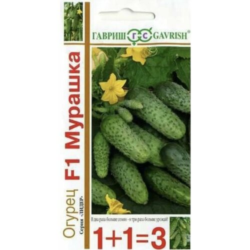 ������ ������ ������ ������ 