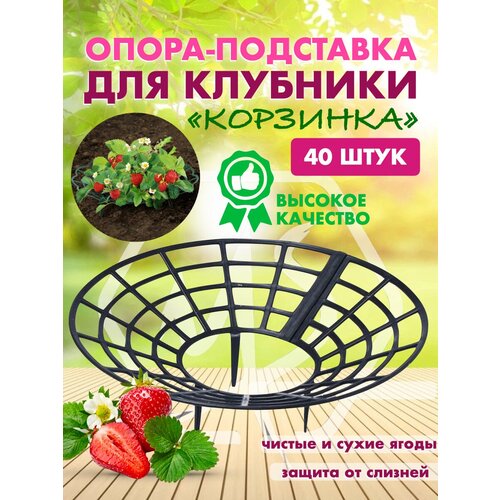 ������ ������ ��������� ��� ��������, �����, ��������, ��������� ������� ��� ������ ��������, ��������, ������ ����� 40 ���� ����