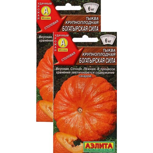 ������ ������ ����� ������������� ����������� ���� (1 �), 2 ������ ����