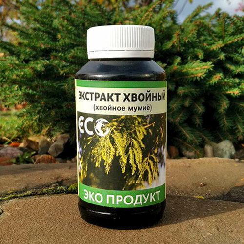 ������ ������ ������� ���� - �������� ������� ����