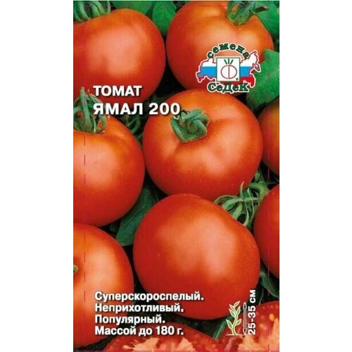 ������ ������ ����� ����, 1 ��������, ������ 0,1�, ����� ����