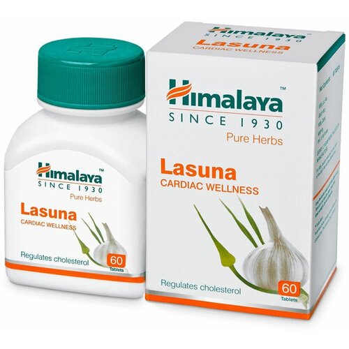 ������ ������ ������� ������� ����