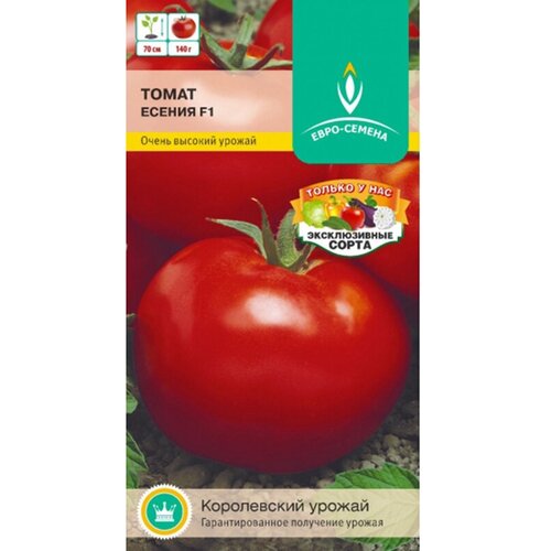 ������ ������ ����� ������ F1. ������. ������������ ��������������� ������. �������� ������� 65-70 ��. ����� ����� �������, ���� �������, ������ �� 140 ��. ����