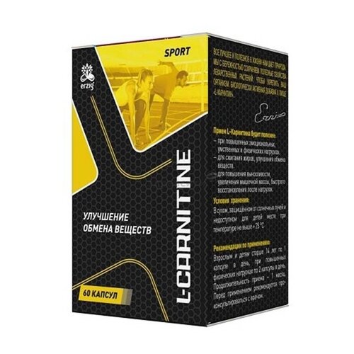 ������ ������ L-�������� ����., 560 ��, 60 ��. ����