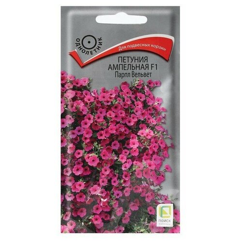 ������ ������ ������ ������� ����� ������� F1 5�� ���������. ����