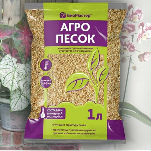 ������ ������ ��������� ��������� 1 ���� ����