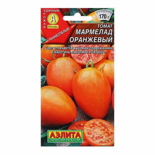 ������ ������ ������ ����� �������� ��������� 20�� ��� ������ (������) ����