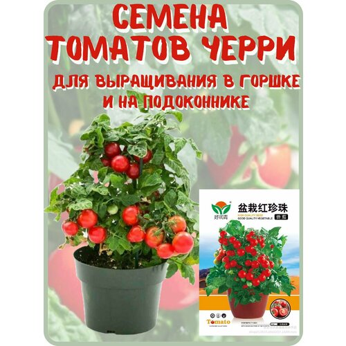 ������ ������ ������ ������� ����� ��� ����������� � ������ ����