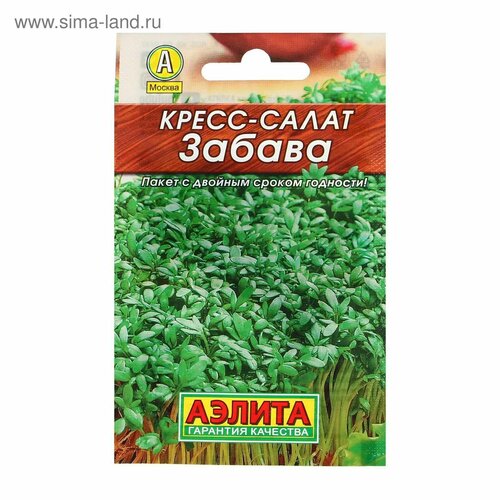 ������ ������ ������ �����-����� 