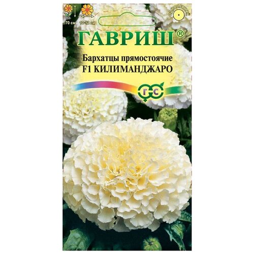 ������ ������ ������ ������ �������� ������������ ������� ������������, F1, 0.05 � ����