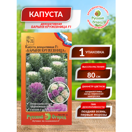 ������ ������ ������� ������� ������������ 