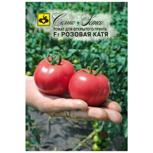 ������ ������ ����� ������� ���� F1 ����