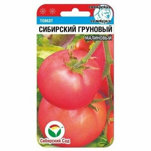 ������ ������ ������ ����� ��������� ��������� ��������� (�����������) (��������� ���) 20�� ����