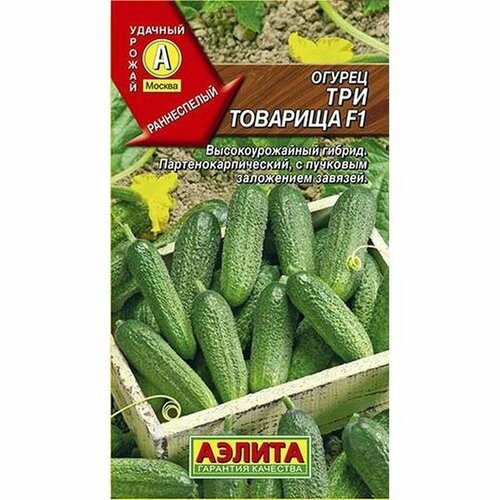 ������ ������ ������ ������ ��� �������� F1 ��, �����������, (������) 10�� ����